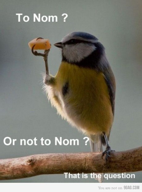 Анастасия Мальцева | 