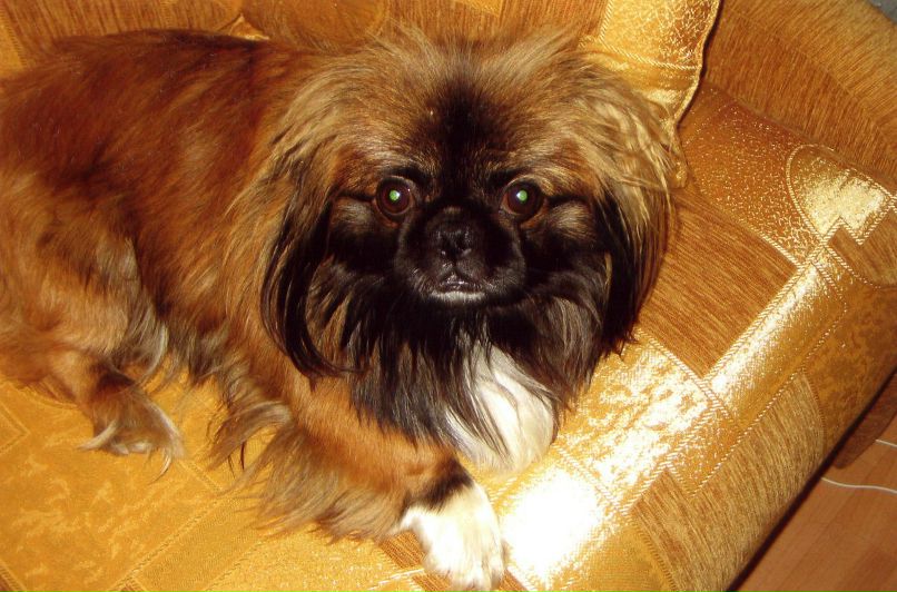 Юля Довганюк | Хмельницкий