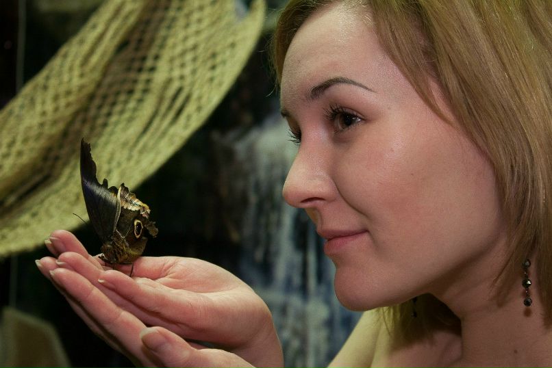 Элечка Голбан | Санкт-Петербург