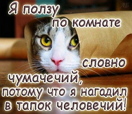 №178, Михайло Руммо, Харьков №178, Михайло Руммо, Харьков