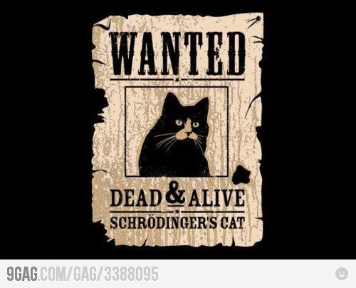 Антон Лунев | Москва