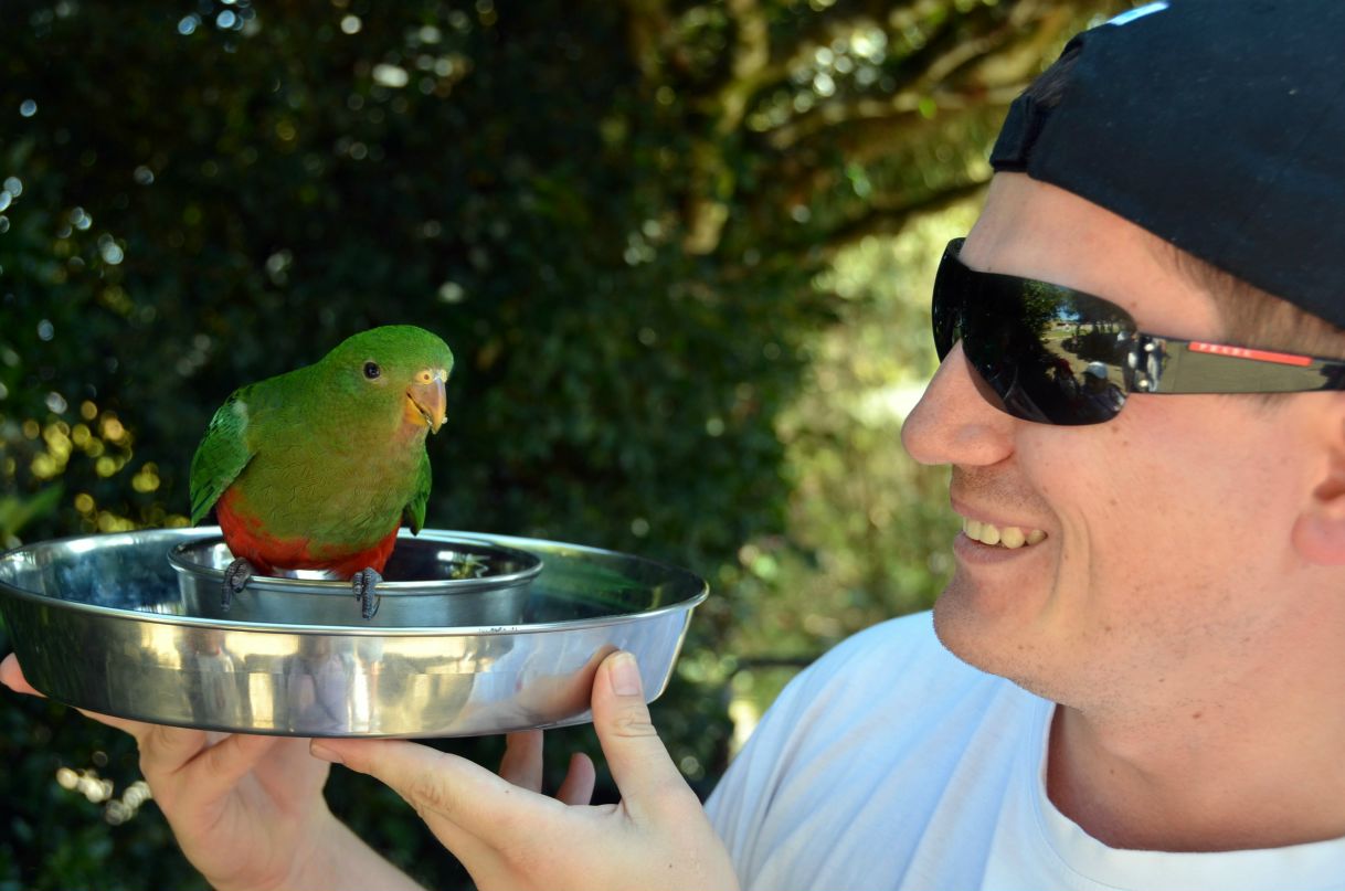 Евгений Дрозд | Auckland