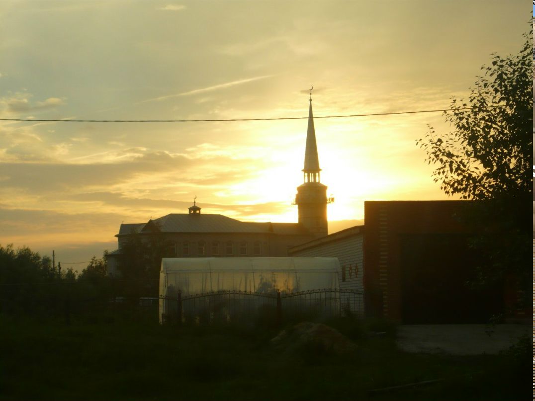 Данис Гиматдинов | Сургут