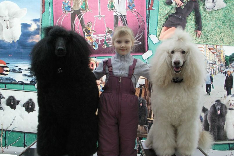 Ирина Марисова Александровна | Волгоград