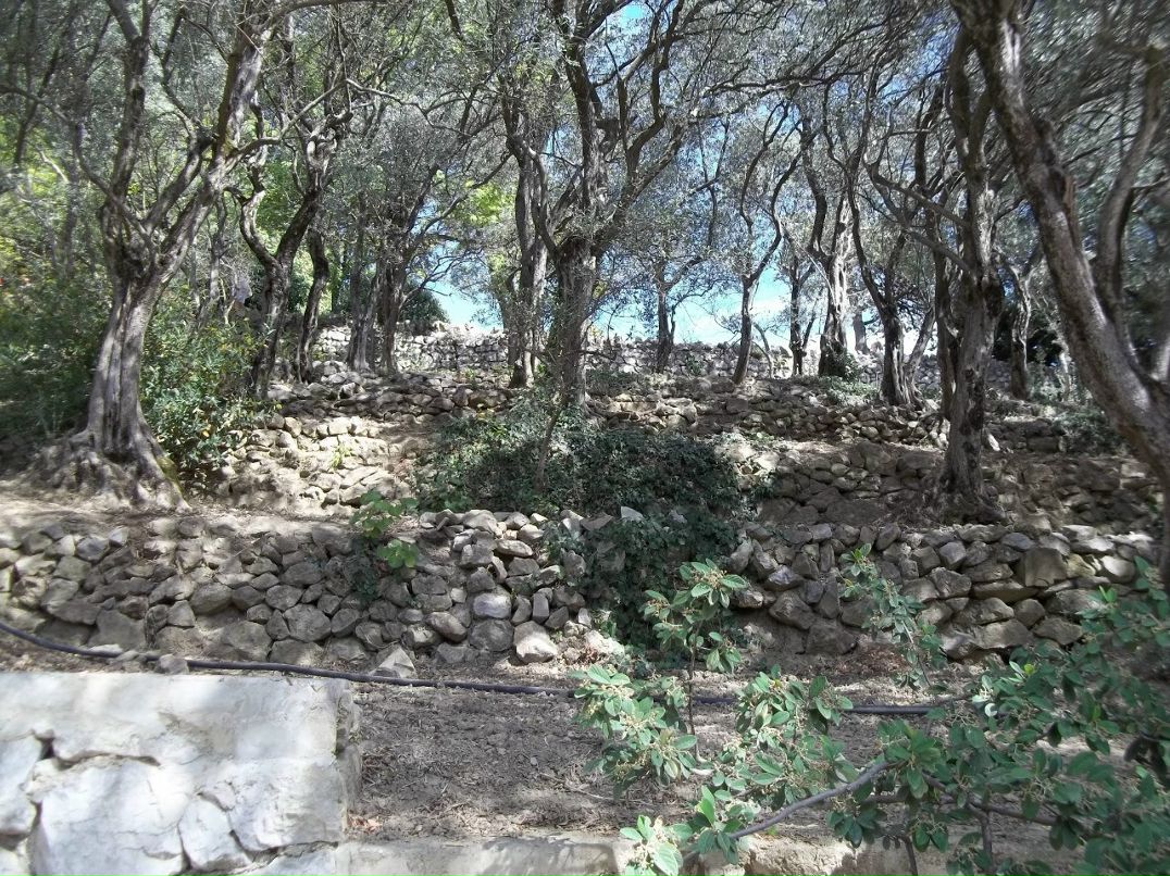 Алексей Зинюк | Бердянск