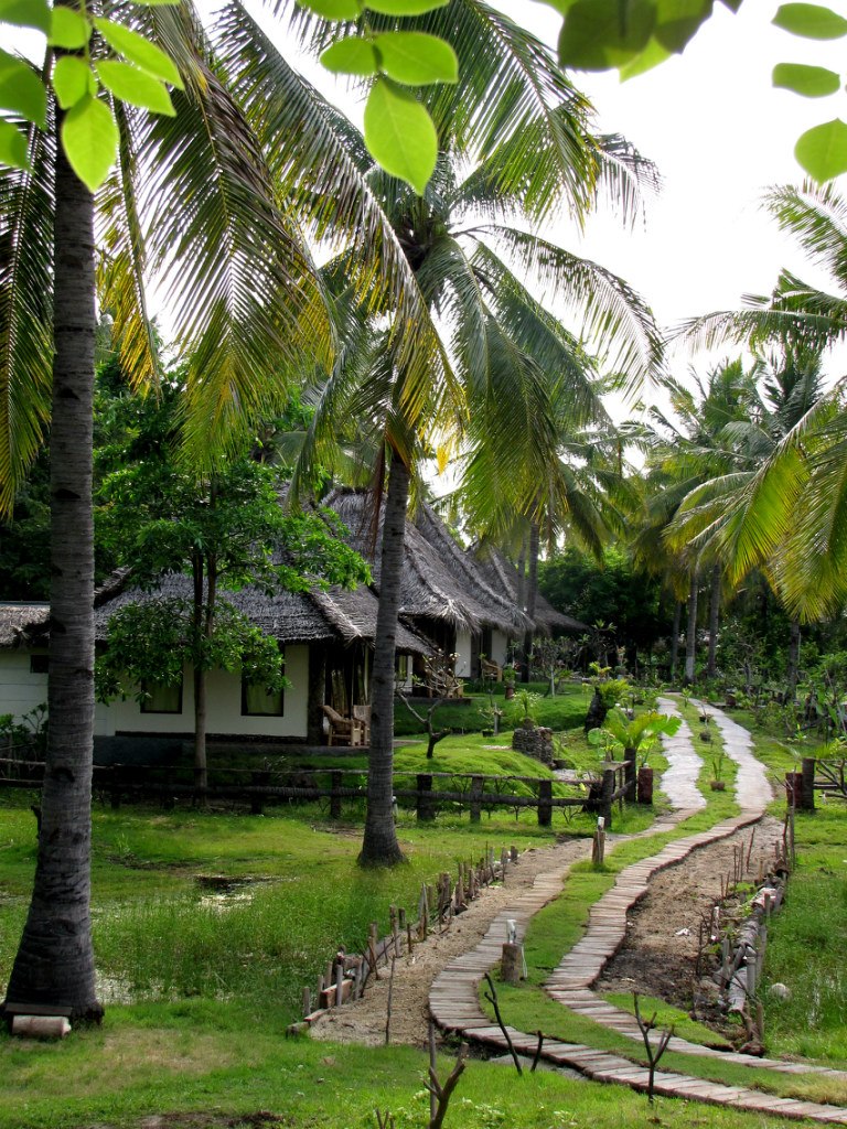 Татьяна Солнцева | 