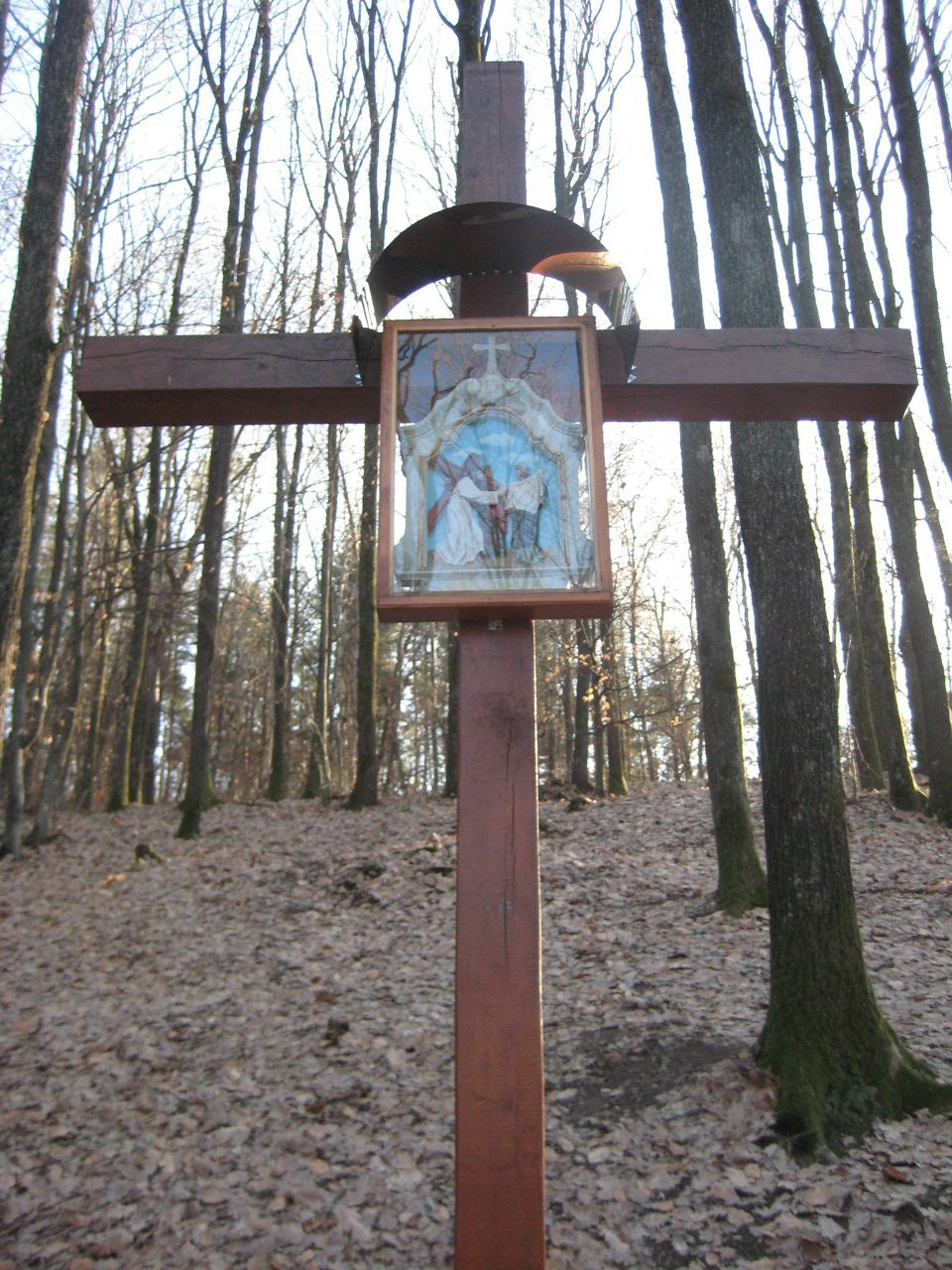 Воха Lion ⓧZm _ Nationⓧ | Мукачево