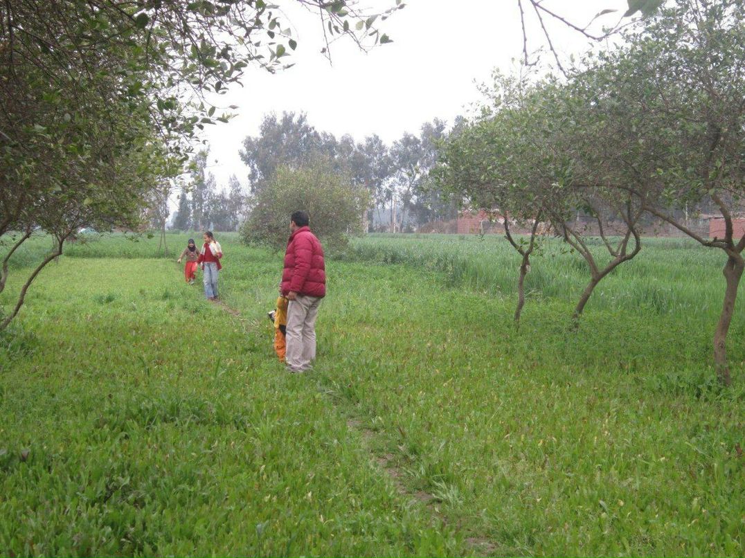 Юлия Гамаль | Taba