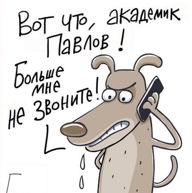 Алексей Чикунов | Екатеринбург