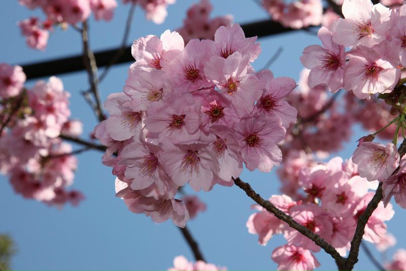 Екатерина Пойманова | Омск