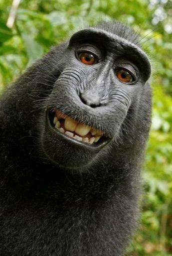 Михаил Шуткевич | 