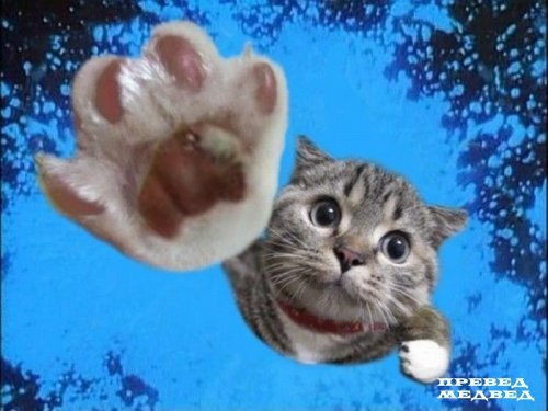 Ярославна Боросюк Александровна | Бердичев