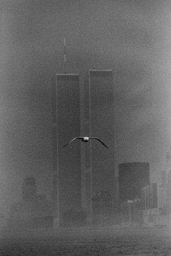 Екатерина Майн Meer-Himmel | Atlanta