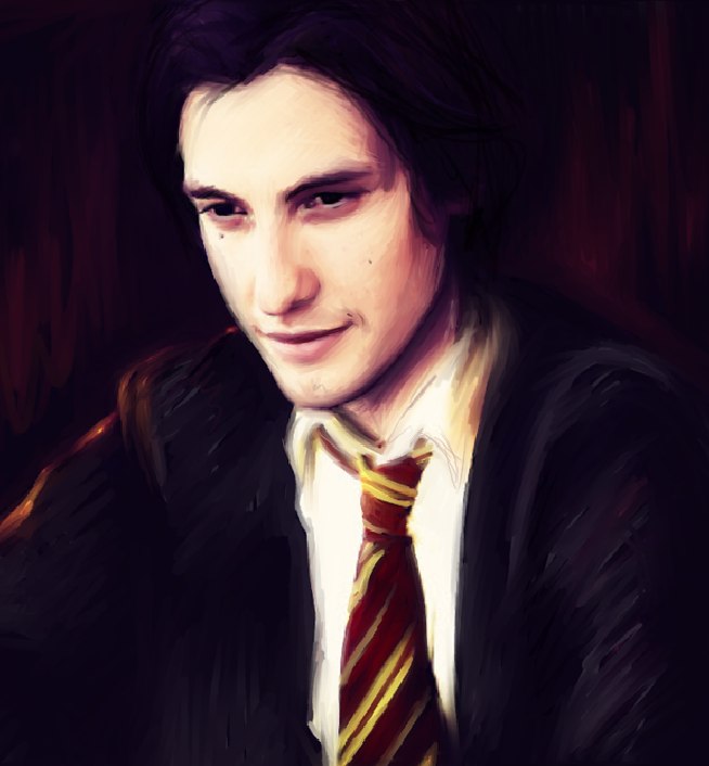 Сириус Блэк Бродяга | 