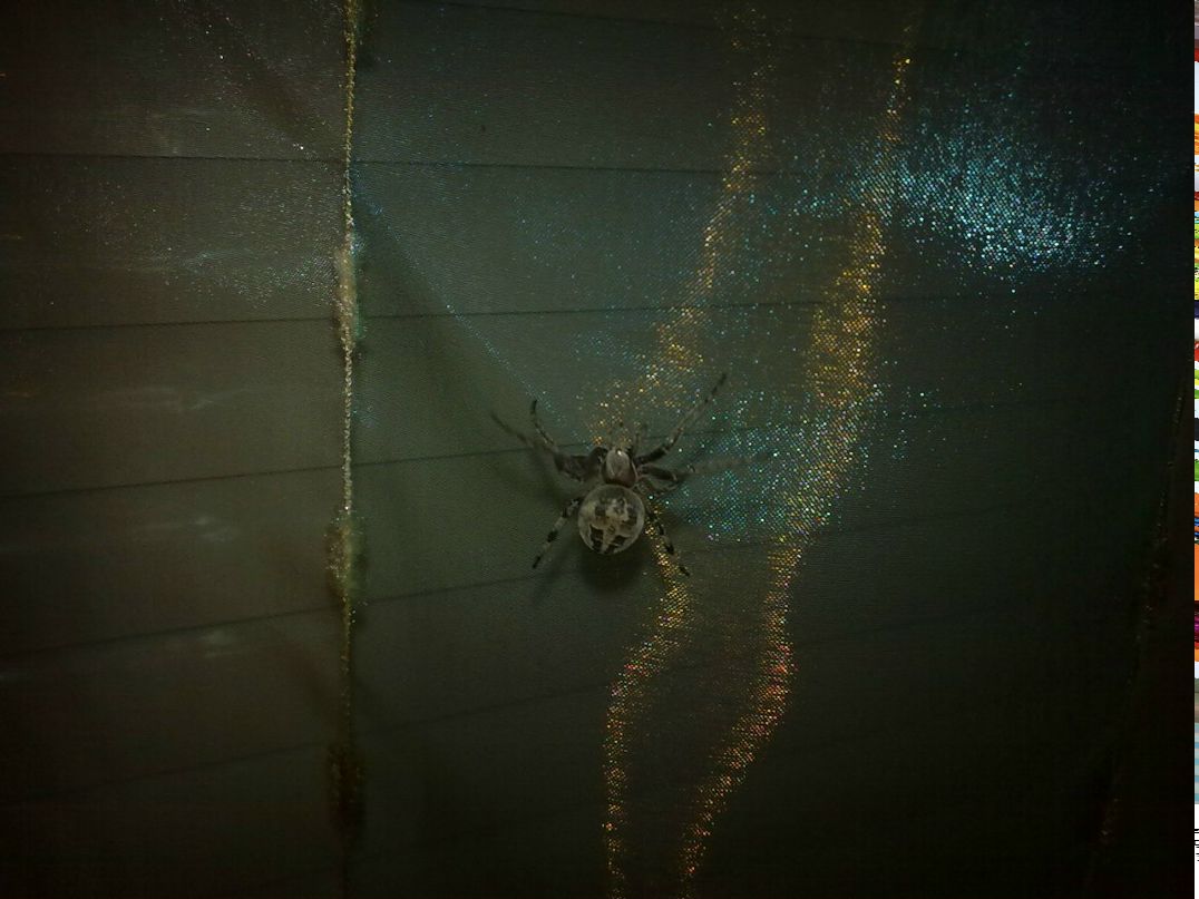 Barney Gumble | Санкт-Петербург