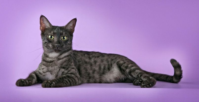 Полина Горелкина | Москва