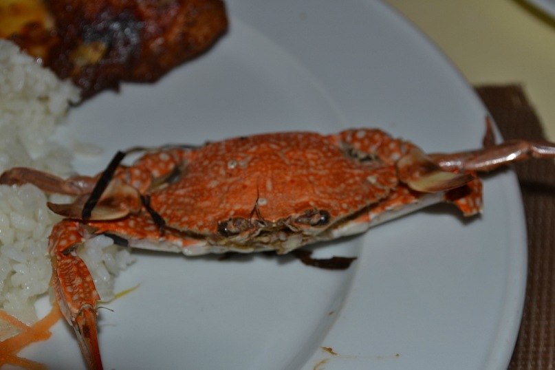 Екатерина Тарасова | Старый Оскол