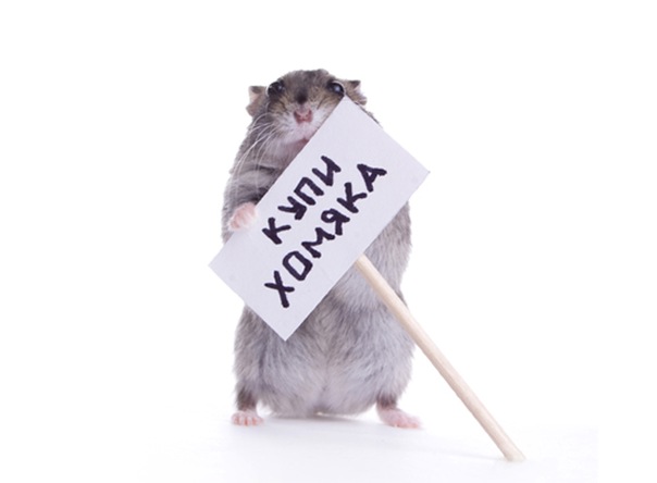 №8, Наташа Трубина №8, Наташа Трубина