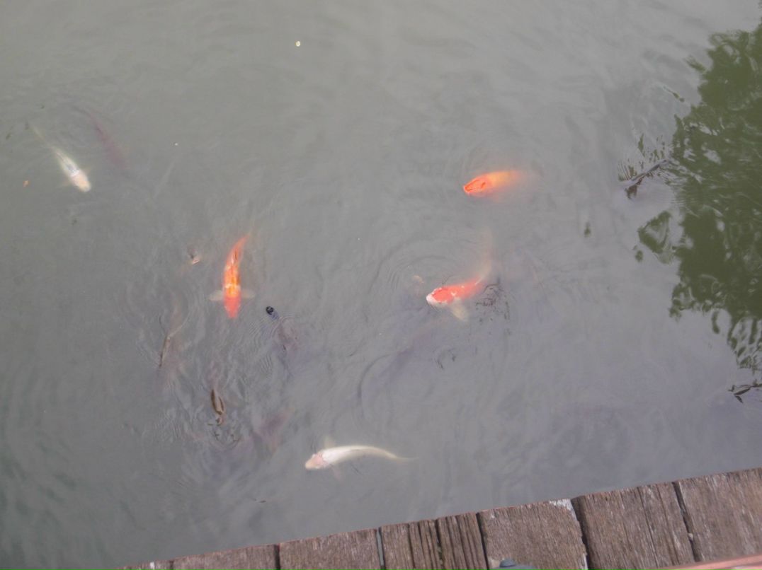 Мария Замкова | Москва