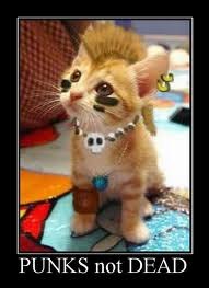 Анна Макарова Солнышко | Омск