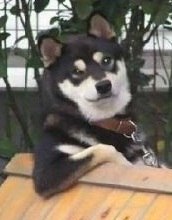 Семен Нифонтов | Якутск