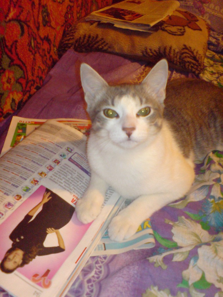 Наталия Яценко | Санкт-Петербург