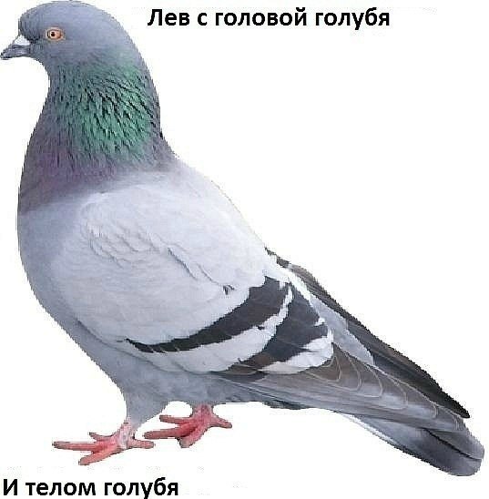 Мирослава Сагайдачная Сергеевна | 