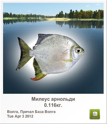 Сергей Фирсов | Валдай