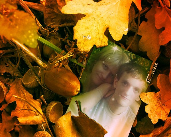 Денис Михайлов | 