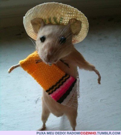 Антон Варакин Ich mag Brüste | Хабаровск