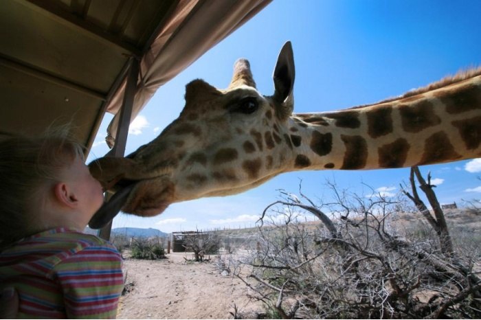 Татьяна Деулина | Оренбург