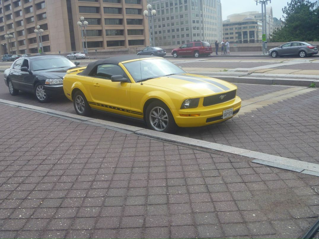 Никита Малолетков | Москва