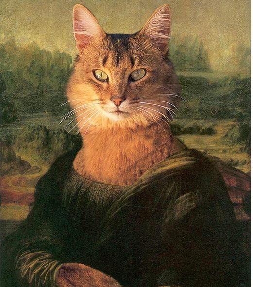 Дария Коновалова | 