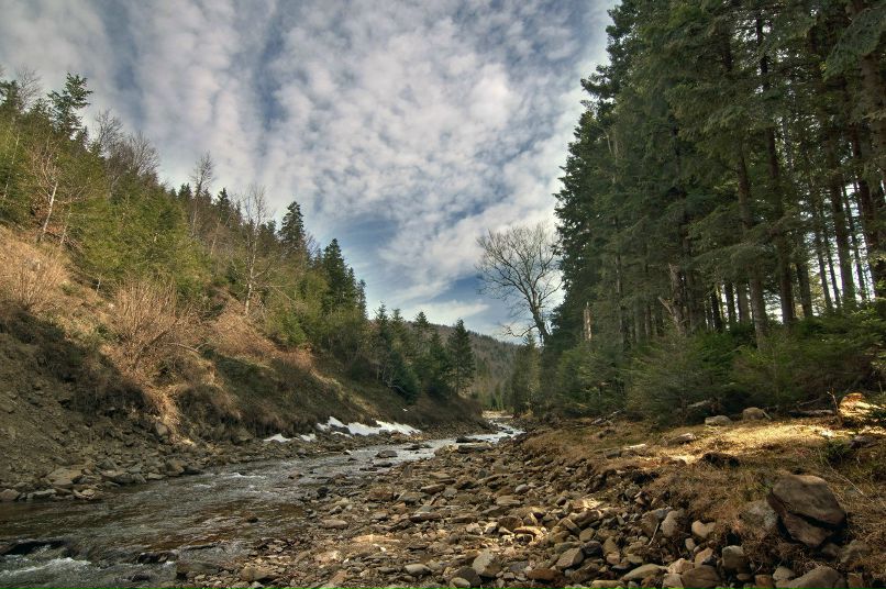 Олексій Прийма | Ивано-Франковск