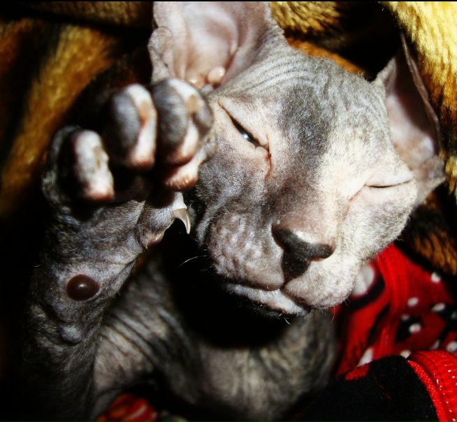 №78, Оля Суркова, Тюмень №78, Оля Суркова, Тюмень