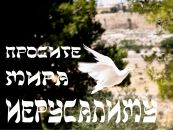 №20 Инесса Егорова : профиль, фото, статус - ВКонтакте №20 Инесса Егорова : профиль, фото, статус - ВКонтакте