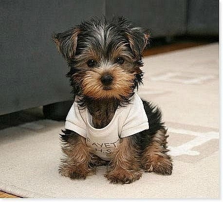 Екатерина Ермакова | Санкт-Петербург