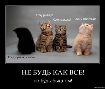 Анна Например | Новосибирск