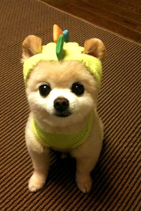 Валентина Нугуманова | Уфа