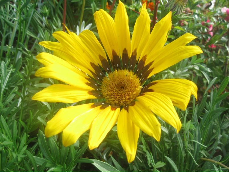 Вера Кульневич | Челябинск