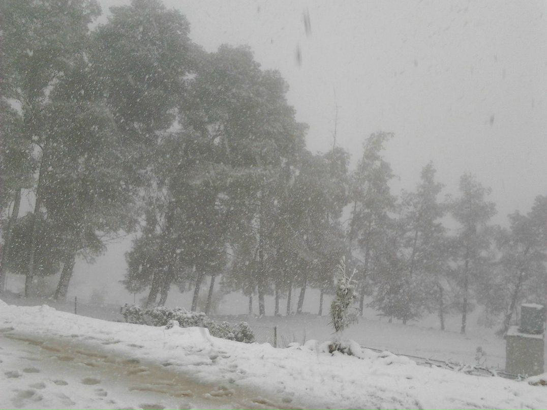 Осама Боллейн ...еще один... | Иерусалим