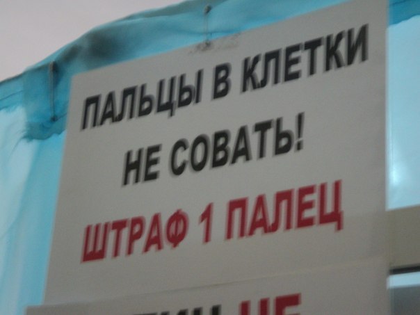 Кирилл Разумный | Санкт-Петербург