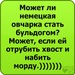 Віталік Драгущак фотография #18