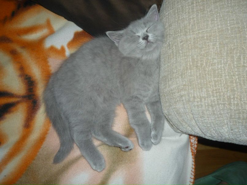 Дмитрий Андреевич | Мелитополь