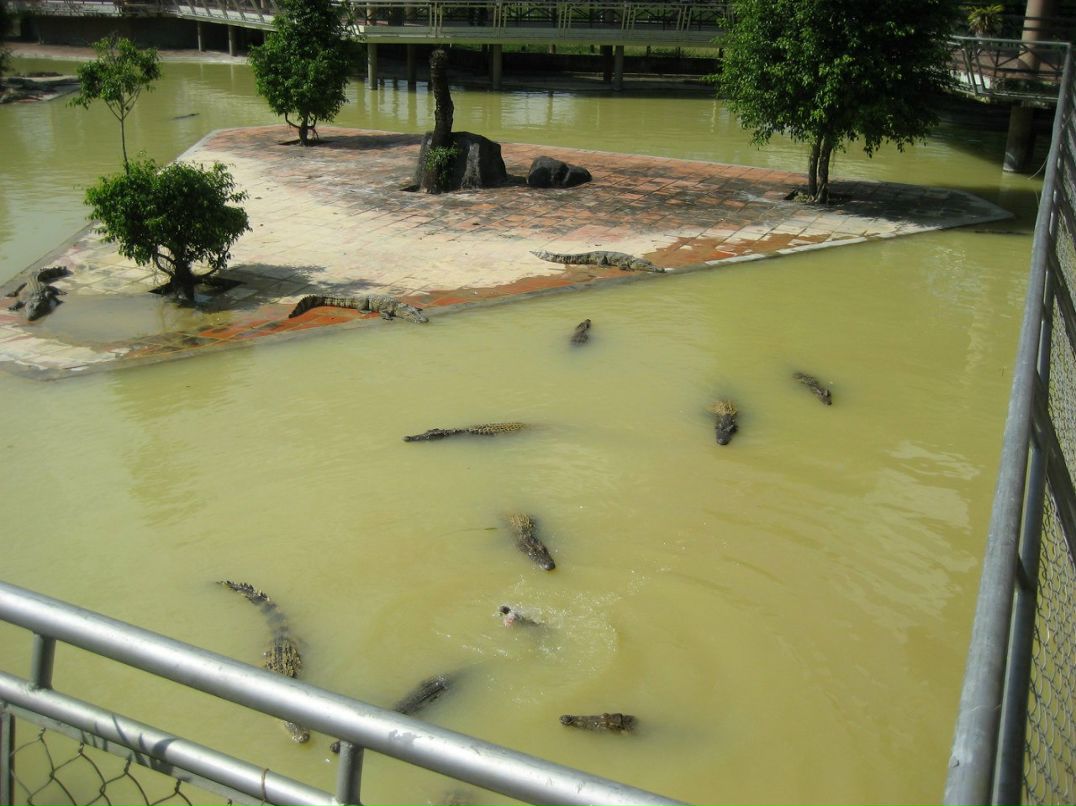 Irisha Glasnova ♥ | Санкт-Петербург