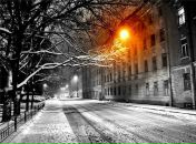 Фотография Полина Григ