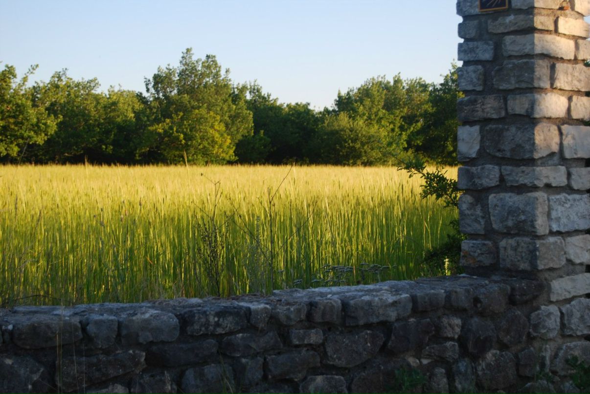 Оля Панина | Москва