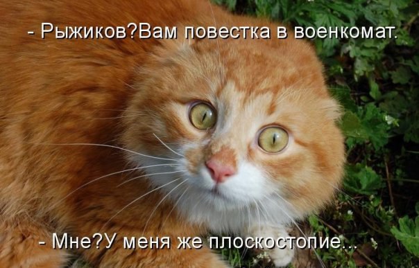 Александр Орехов | Великий Новгород