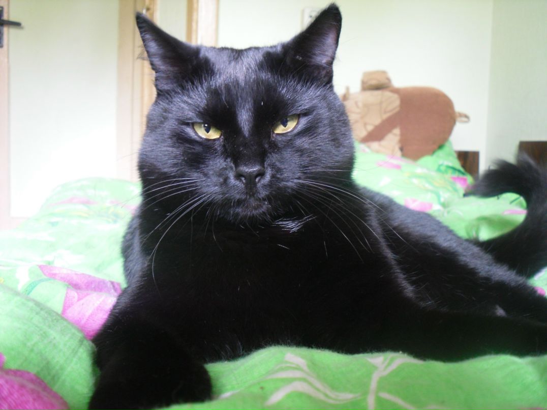 Анна Яреньгина | Северодвинск