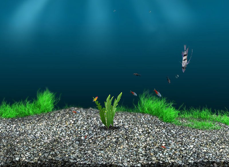 Александр Терёхин николаевич | 